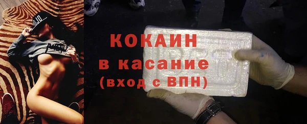 прущие грибы Щучье