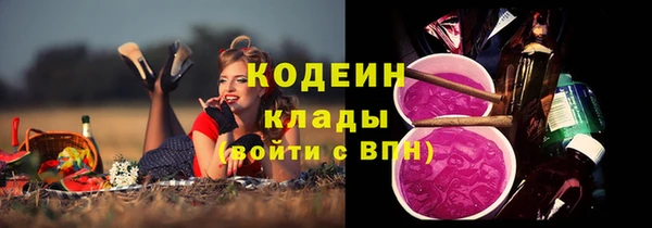 соль ск Шали