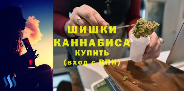 трава Шарыпово