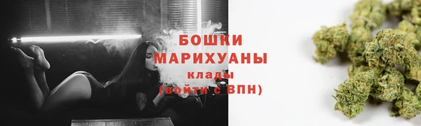 прущая мука Каменка