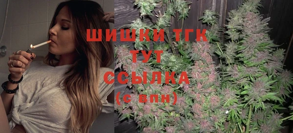 прущая мука Инсар