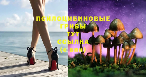 дживик Каменск-Шахтинский