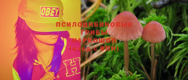 кокс Инта